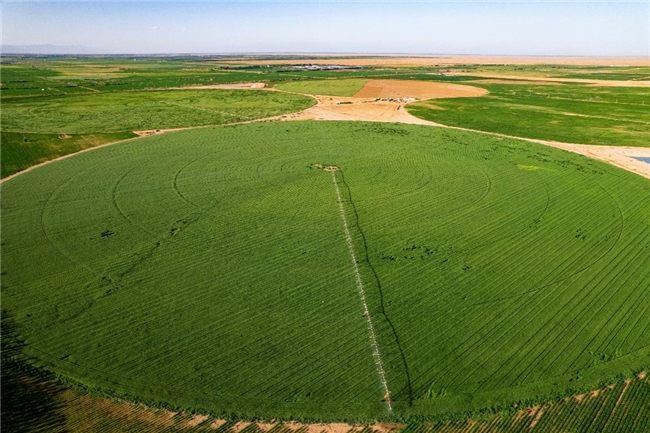 绿色乳业革命：从沙漠治理到灯塔工厂
