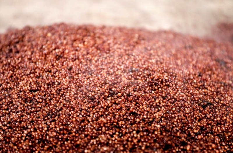 国凌酱酒为何如此火爆?几大核心价值告诉你答案!(图2) 国凌酱酒为何如此火爆?几大核心价值告诉你答案!(图2)