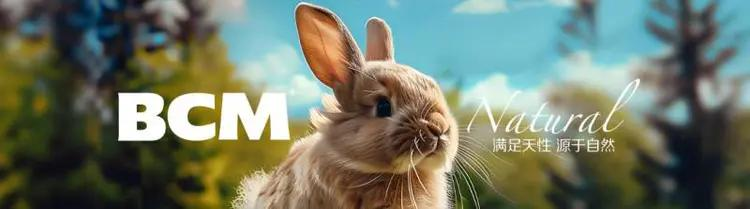 BCM 提摩西草:为何成为小宠喂养热门之选?(图9) BCM 提摩西草:为何成为小宠喂养热门之选?(图9)