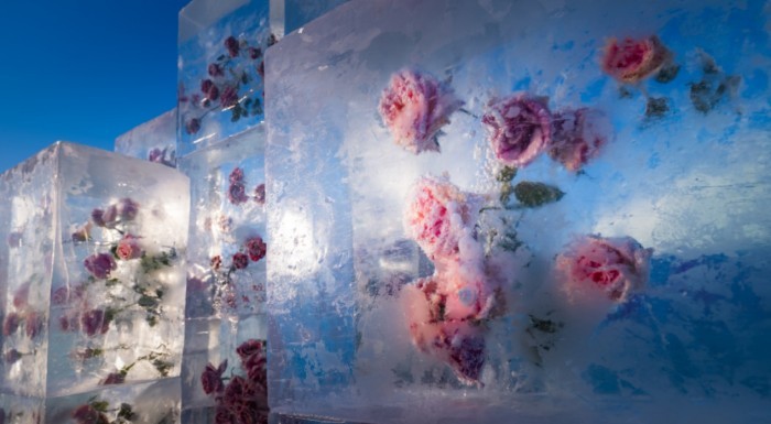 “冰天雪地”的激情，创造“金山银山”的炙热——雪花消融，“冰花”永驻 ｜ “黑龙江“冷”冰雪中的“热”经济(图5)