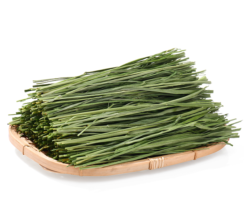 BCM 提摩西草:为何成为小宠喂养热门之选?(图5) BCM 提摩西草:为何成为小宠喂养热门之选?(图5)